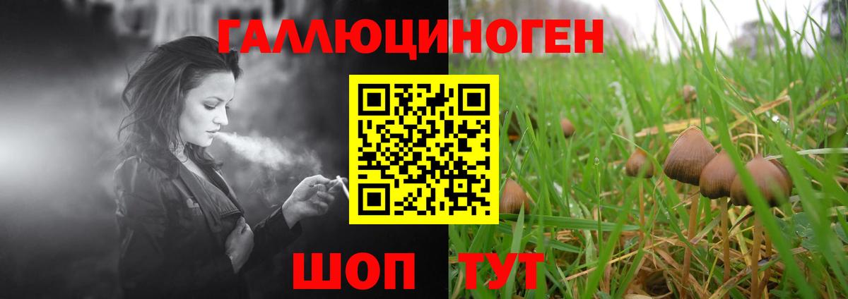 Псилоцибиновые грибы прущие грибы  Псилоцибиновые грибы Psilocybe  Вход с VPN  Карталы 
